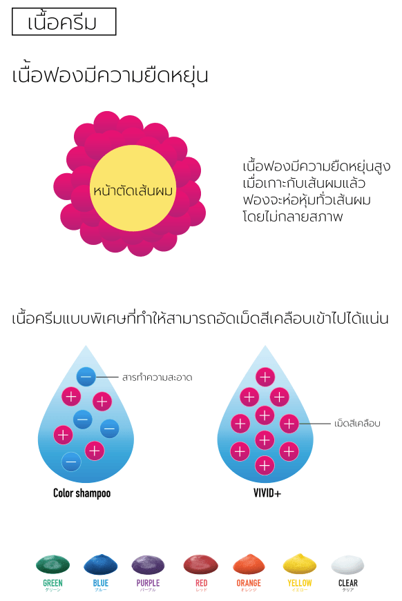 เนื้อฟองมีความยืดหยุ่น