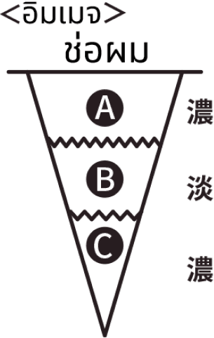 รูปช่อผม