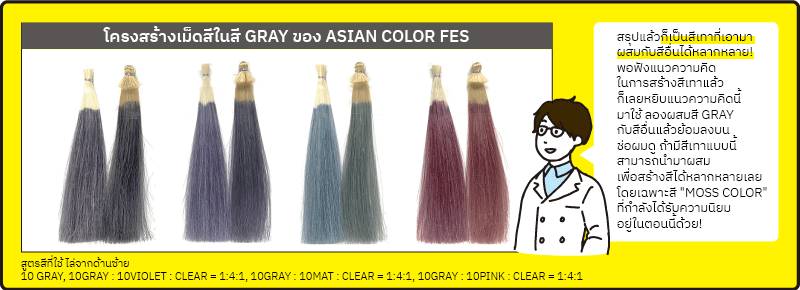 เกี่ยวกับความลับของสี GRAY ของ Asian Color FES